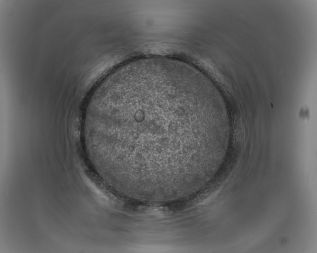 X0000092220683200709281043