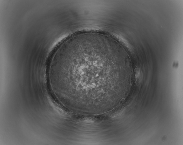 X0000092220684200709281043