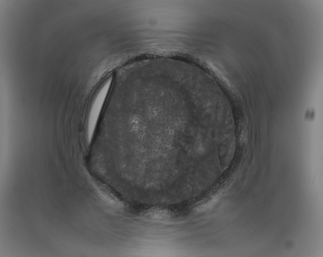 X0000092220685200709281043