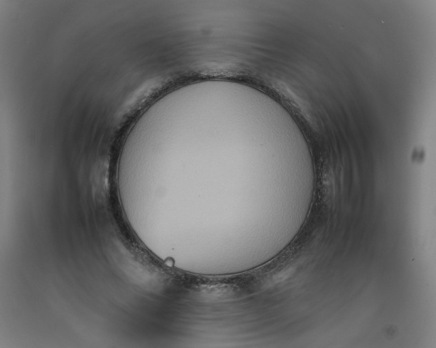X0000092220686200709281043