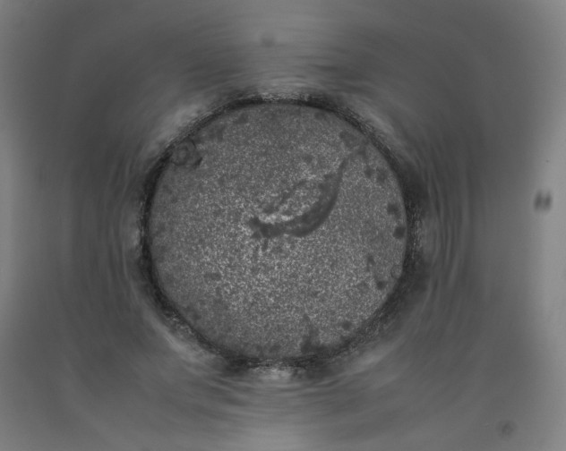 X0000092220687200709281043