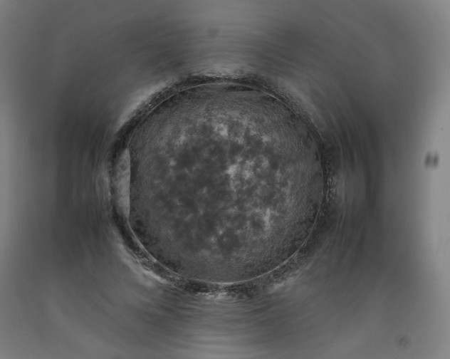 X0000092220688200709281043
