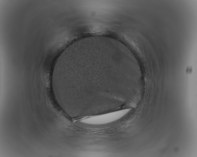 X0000092220689200709281043