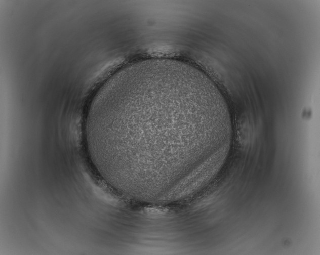 X0000092220690200709281043