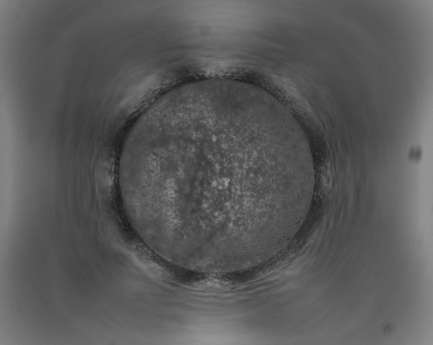 X0000092220691200709281043
