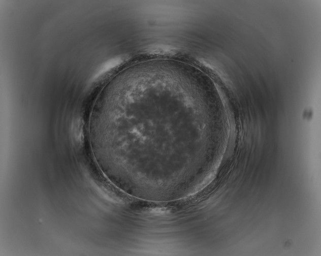 X0000092220692200709281043