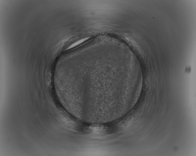 X0000092220693200709281043