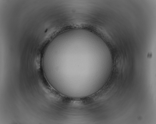 X0000092220694200709281043