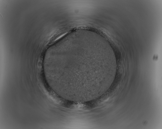 X0000092220695200709281043