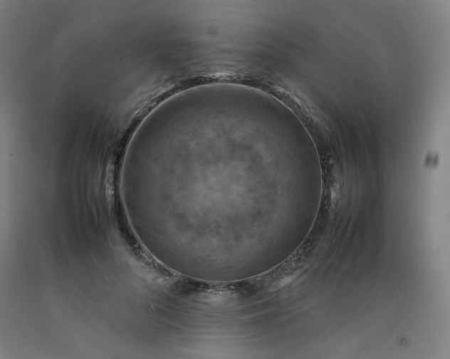X0000092220696200709281043