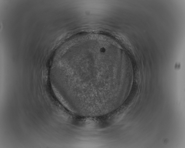 X0000092220697200709281043