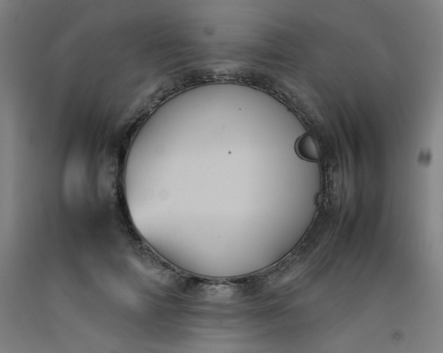 X0000092220698200709281043