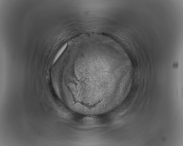 X0000092220699200709281043