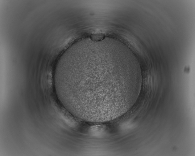 X0000092220700200709281043
