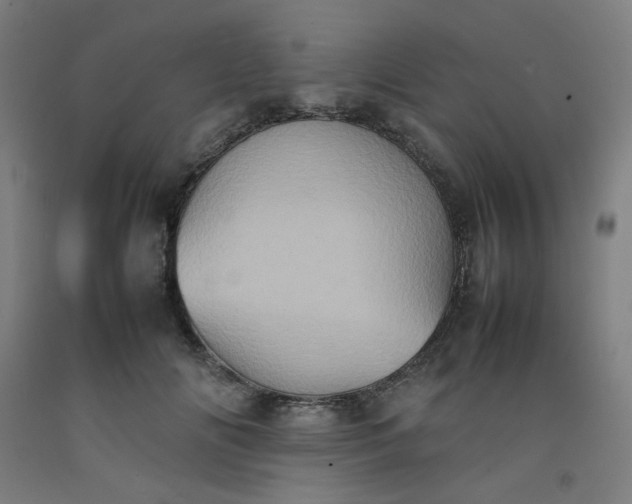 X0000092220702200709281043