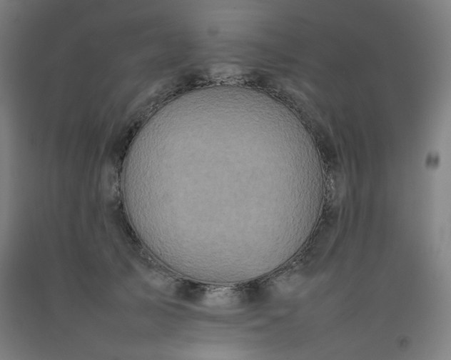X0000092220705200709281043