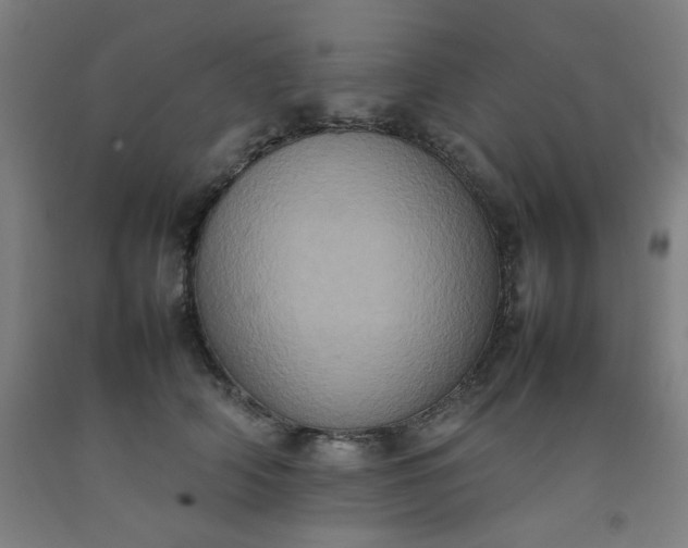 X0000092220706200709281043