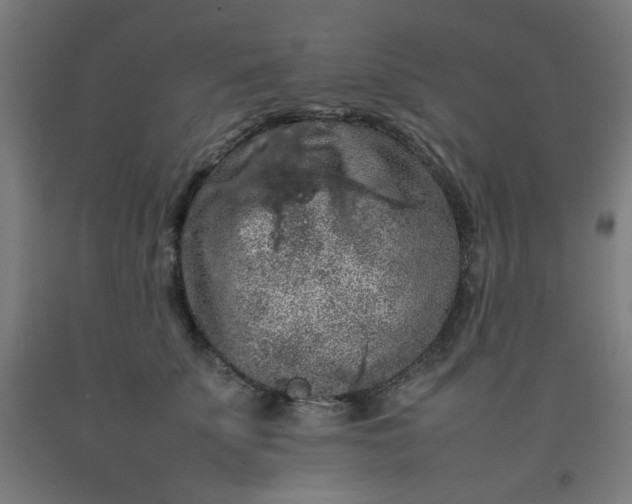 X0000092220707200709281043