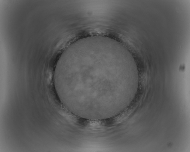 X0000092220709200709281043