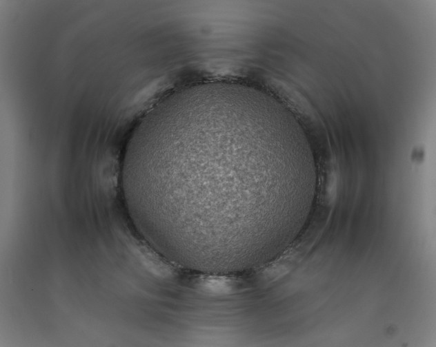 X0000092220710200709281043