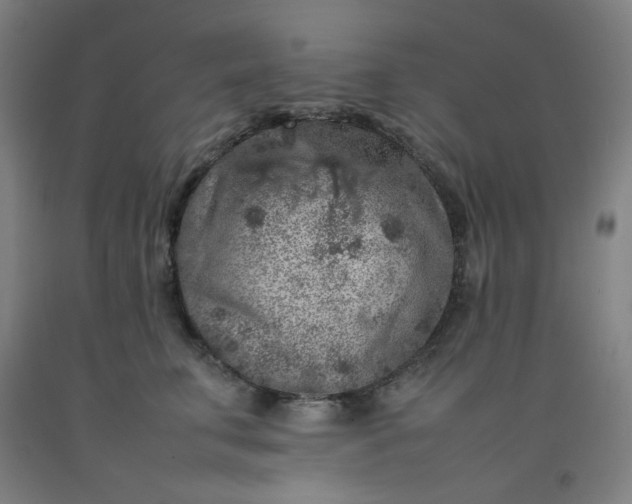 X0000092220711200709281043