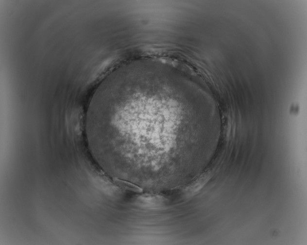 X0000092220712200709281043