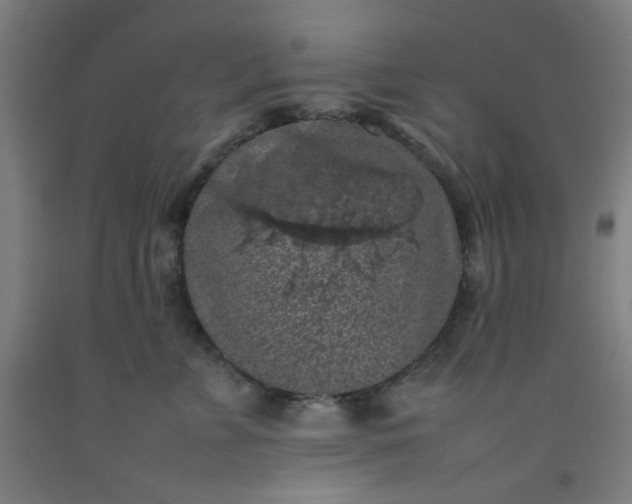 X0000092220715200709281043