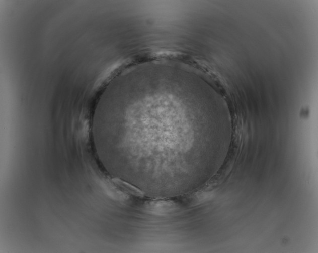 X0000092220716200709281043