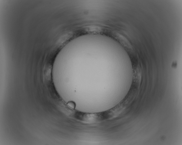 X0000092220717200709281043