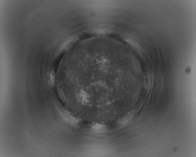 X0000092220718200709281043