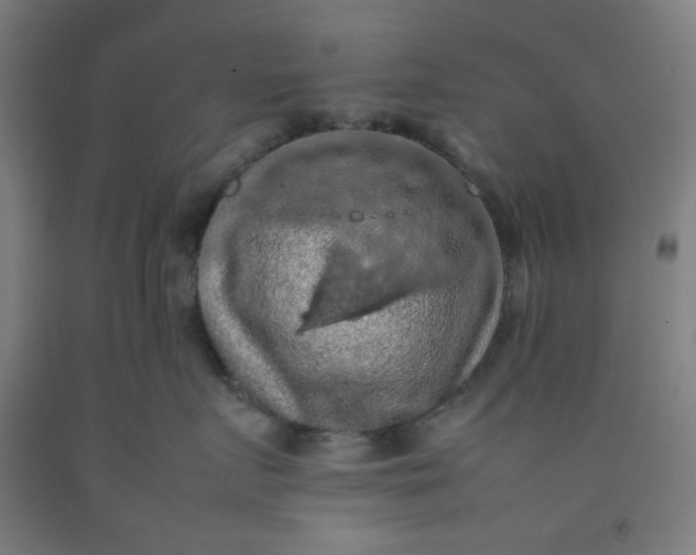 X0000092220719200709281043