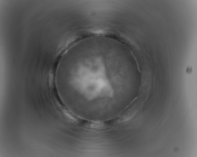 X0000092220720200709281043