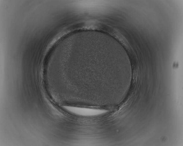 X0000092220722200709281042