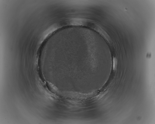 X0000092220723200709281042