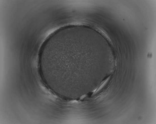 X0000092220724200709281042