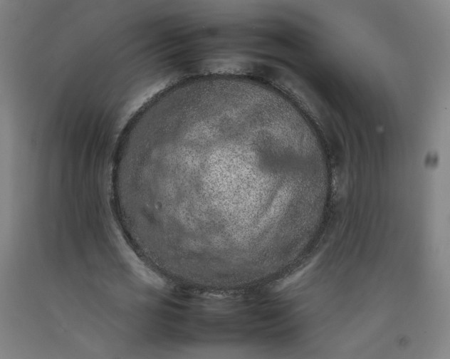 X0000092220725200709281042