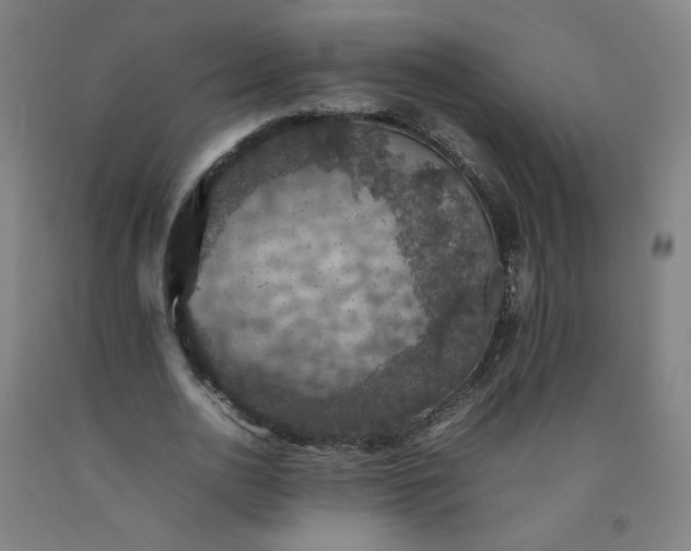 X0000092220726200709281042