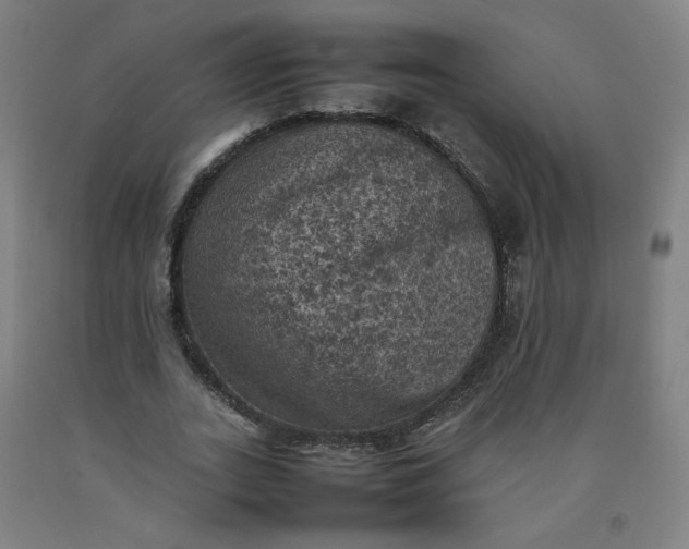X0000092220727200709281042