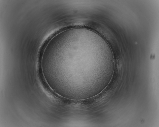 X0000092220728200709281042