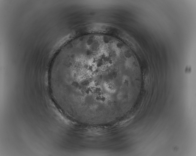 X0000092220729200709281042