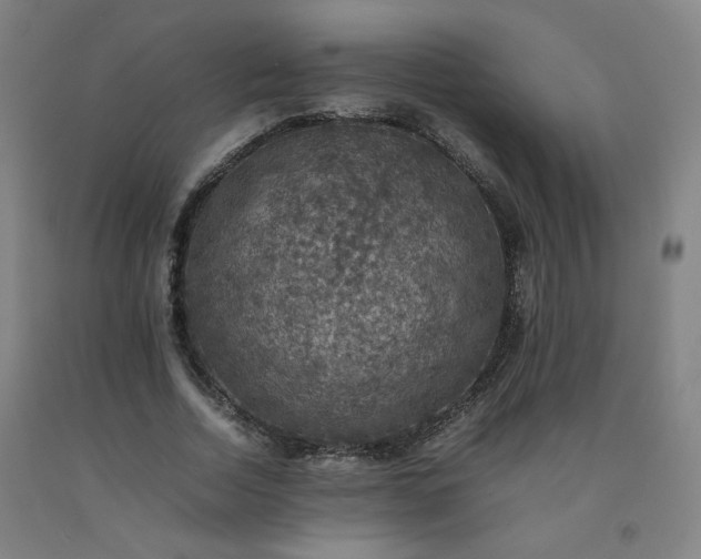 X0000092220730200709281042