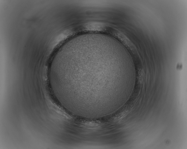 X0000092220731200709281042