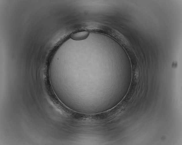 X0000092220732200709281042