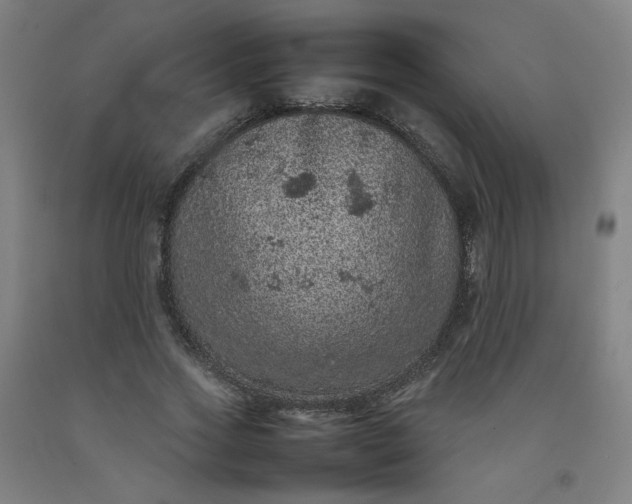 X0000092220733200709281042
