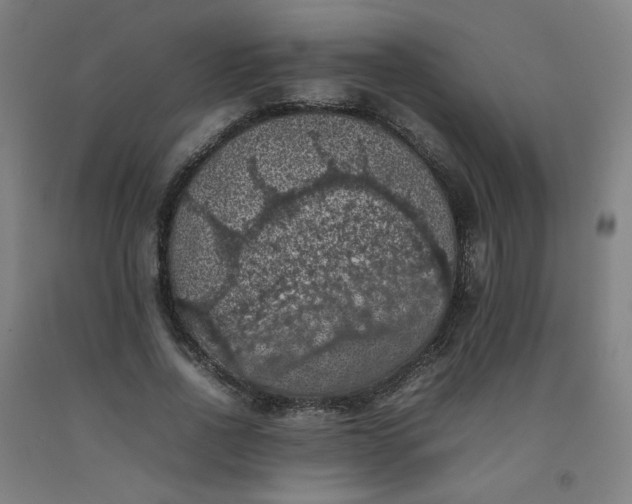 X0000092220734200709281042