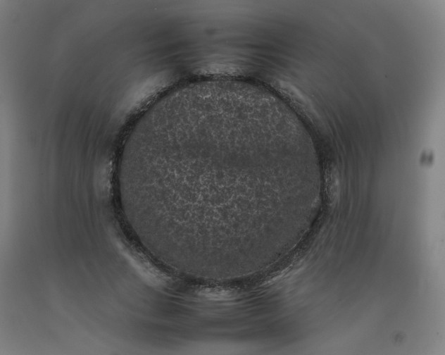 X0000092220735200709281042