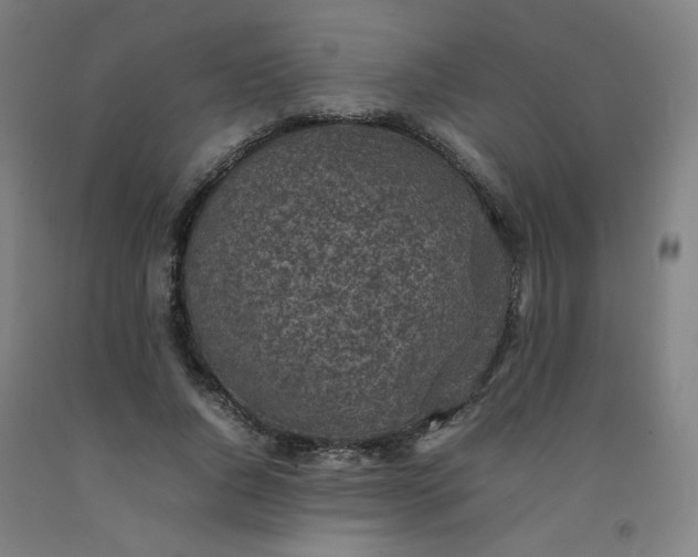 X0000092220736200709281042