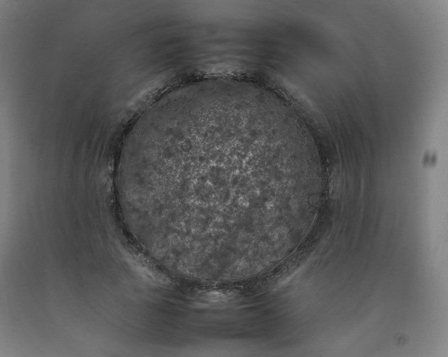 X0000092220737200709281042