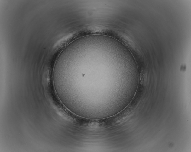 X0000092220740200709281042