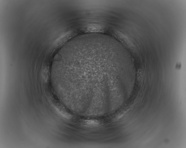 X0000092220741200709281042